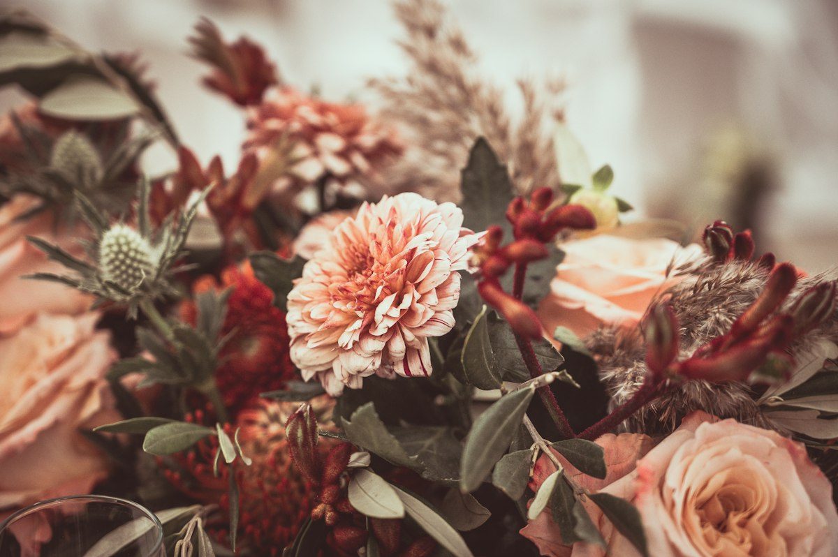 A group of flowers