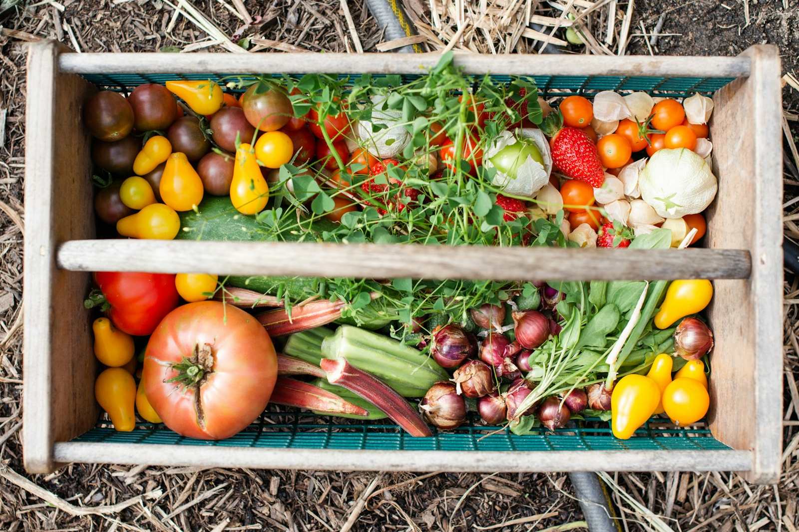 Wooden crate of mixed fresh vegetables seen from above