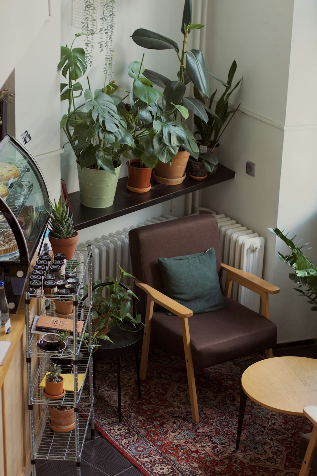 A cozy corner with an armchair and many potted plants