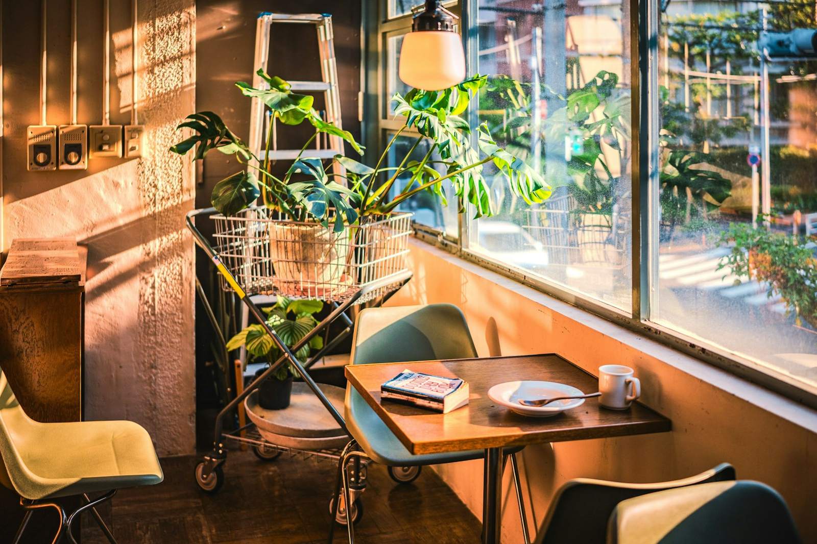 Sunlight pouring through café windows onto a small table with plants
