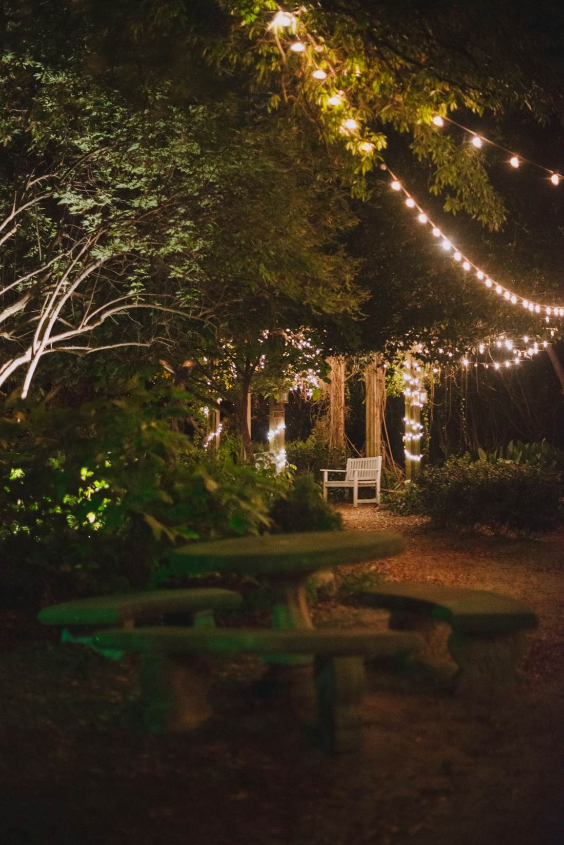 String lights over a garden patio