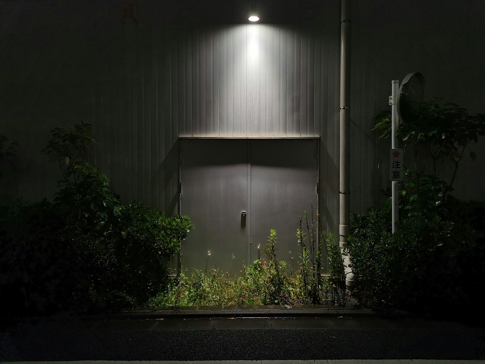 Wall washed with light above planting