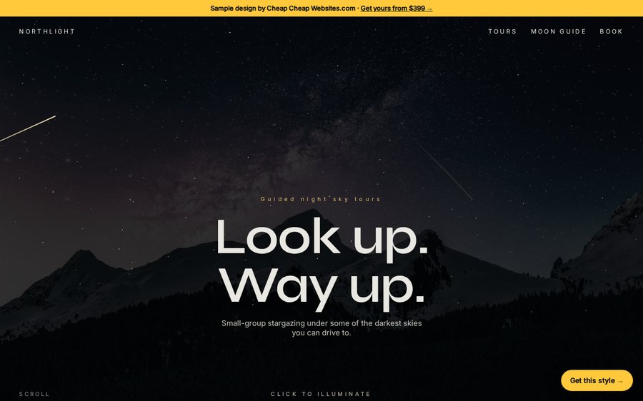 Northlight sample website by Cheap Cheap Websites