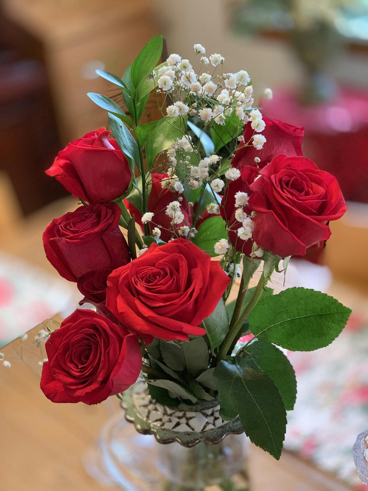 garden roses, deep red