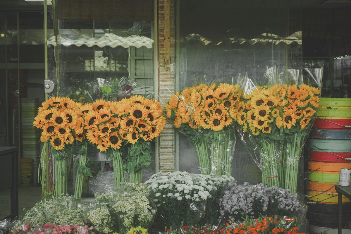 Bunches of sunflowers displayed outside a shop
