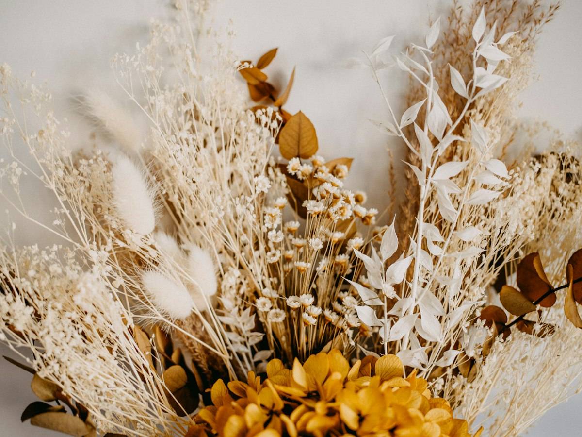 Yellow flower on brown dried grass