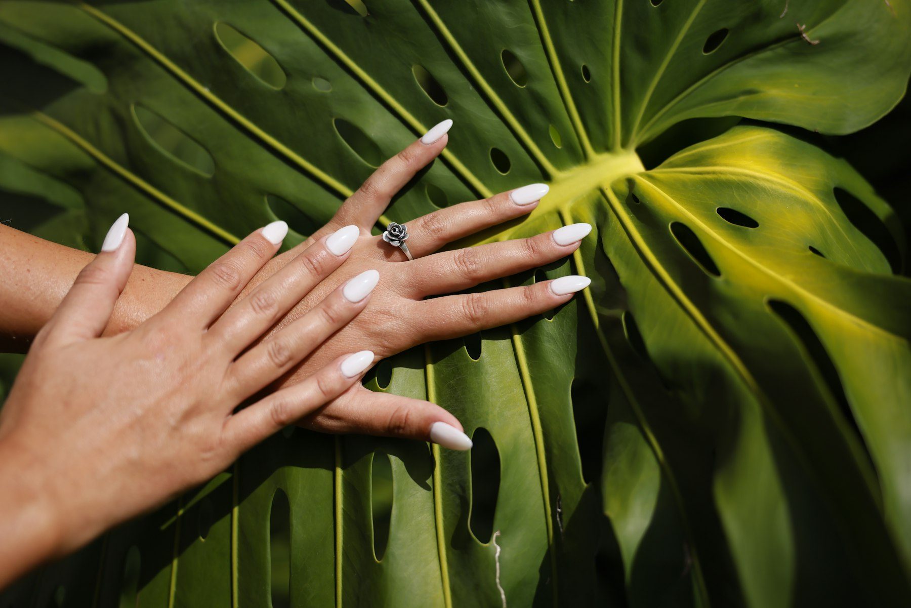 A woman's hands with white manicures and a ring