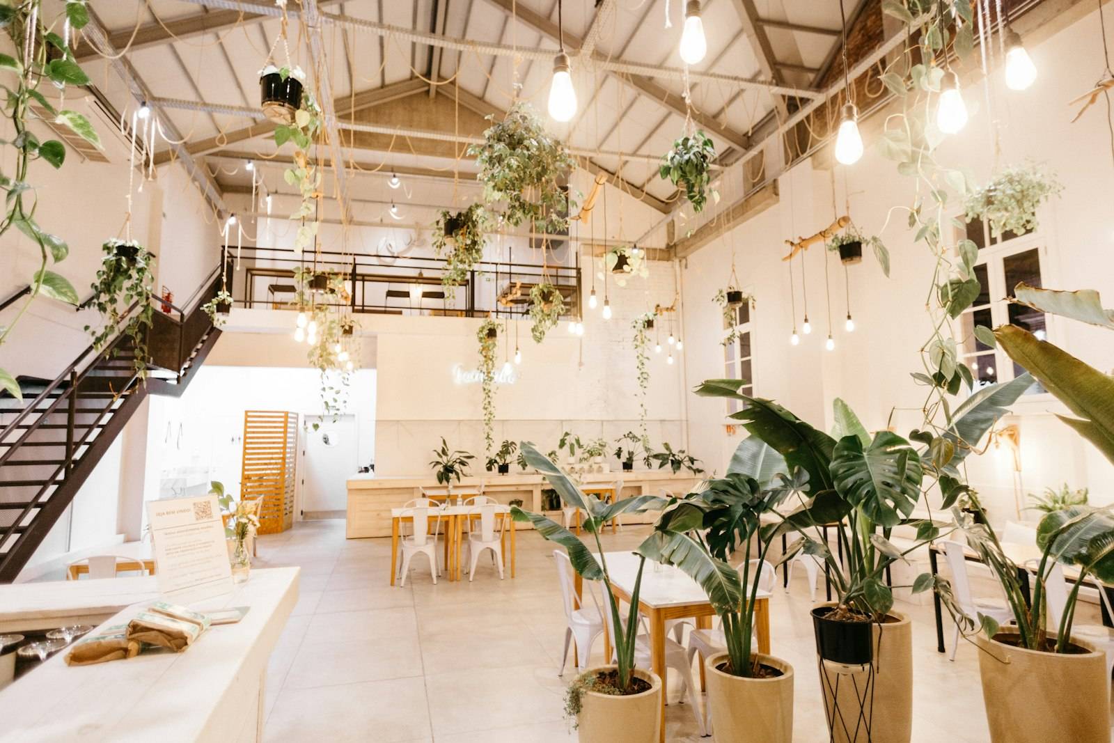 Bright cafe interior with plants