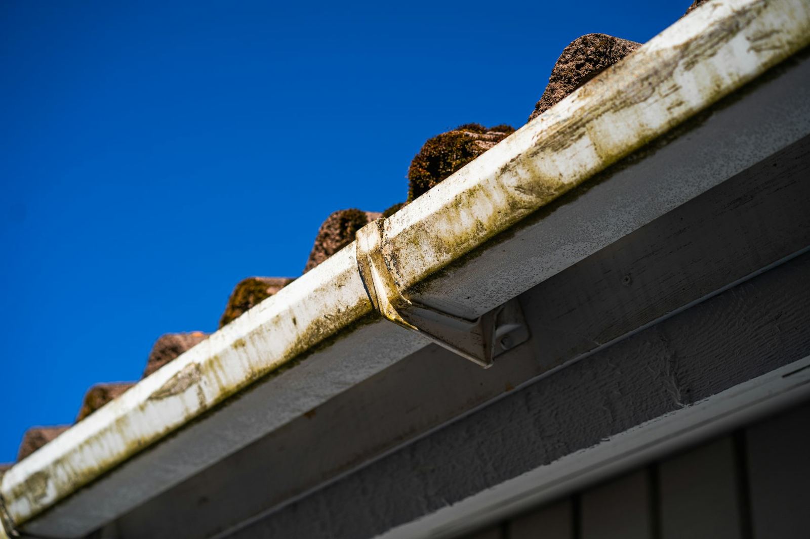 Gutter guards & cleaning