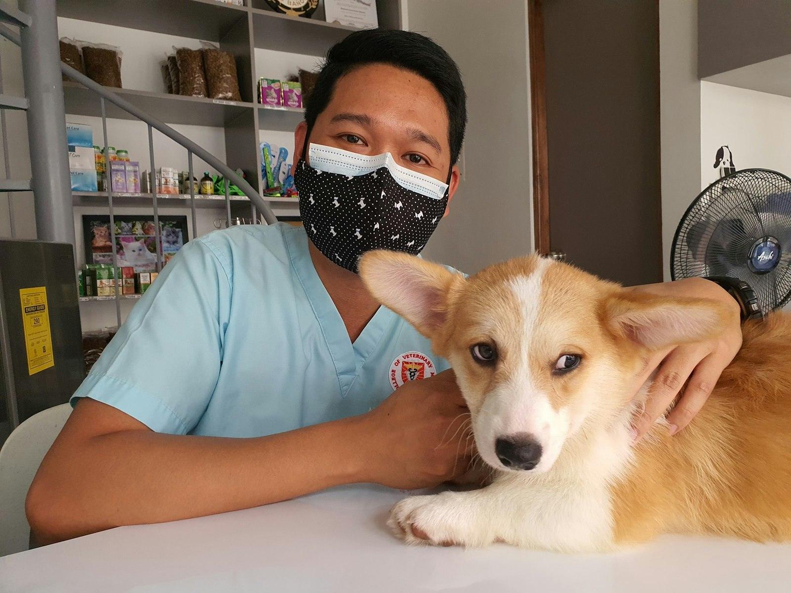 Technician with a corgi